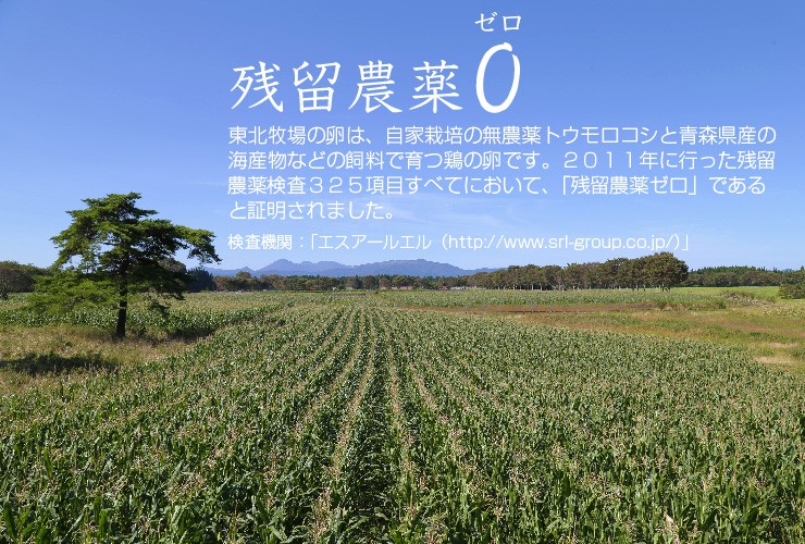 飼料のために、自社の4ヘクタール(農家2軒分の農地)の畑で、農薬や化学肥料は一切使わずに鶏専用のトウモロコシを栽培しています。