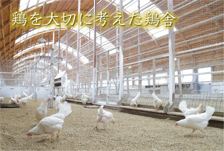 陽光が降り注ぐ風通しの良い鶏舎と、自然環境に近い屋外運動場で放し飼いにしています。