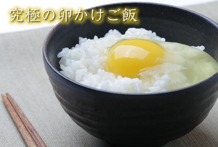 黄身が普通の卵より大きく、濃厚クリーミーな味わいで、卵かけご飯に最適な卵です。